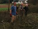 Coupe des arbres lelong de la clôture du voisin - Ugo, Bert, René